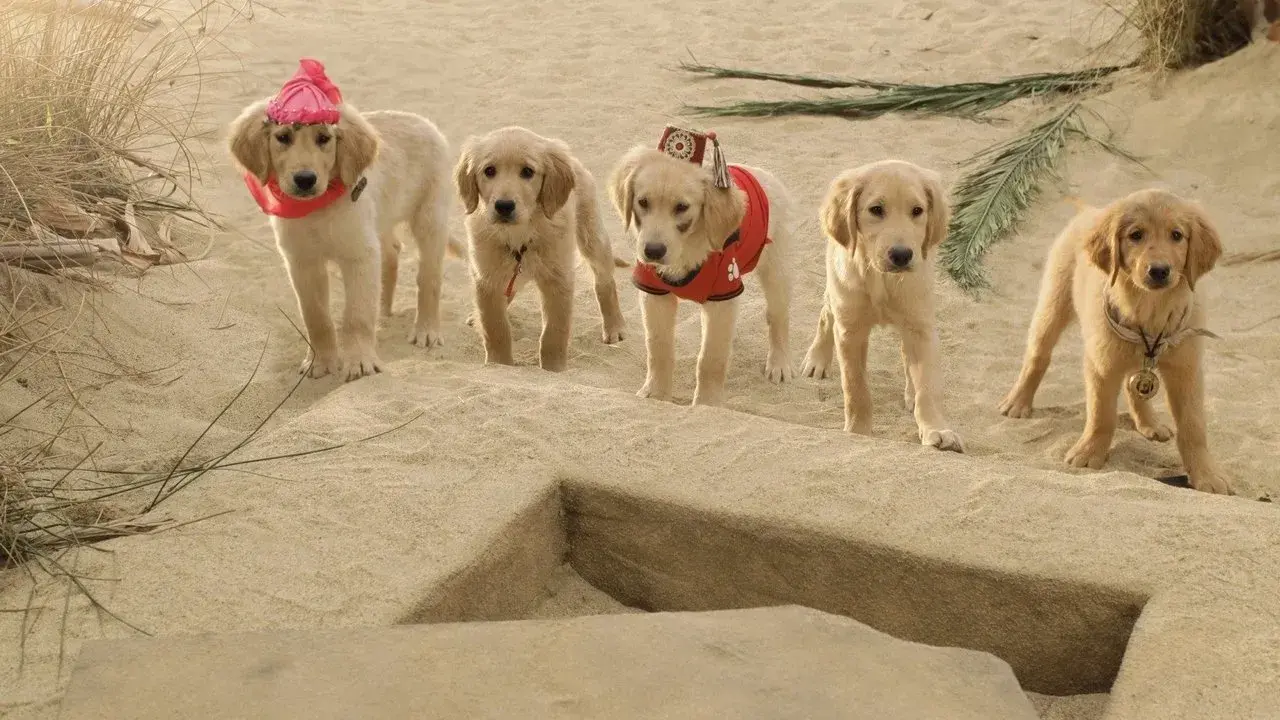 فیلم دوستان گنج (Treasure Buddies 2012)