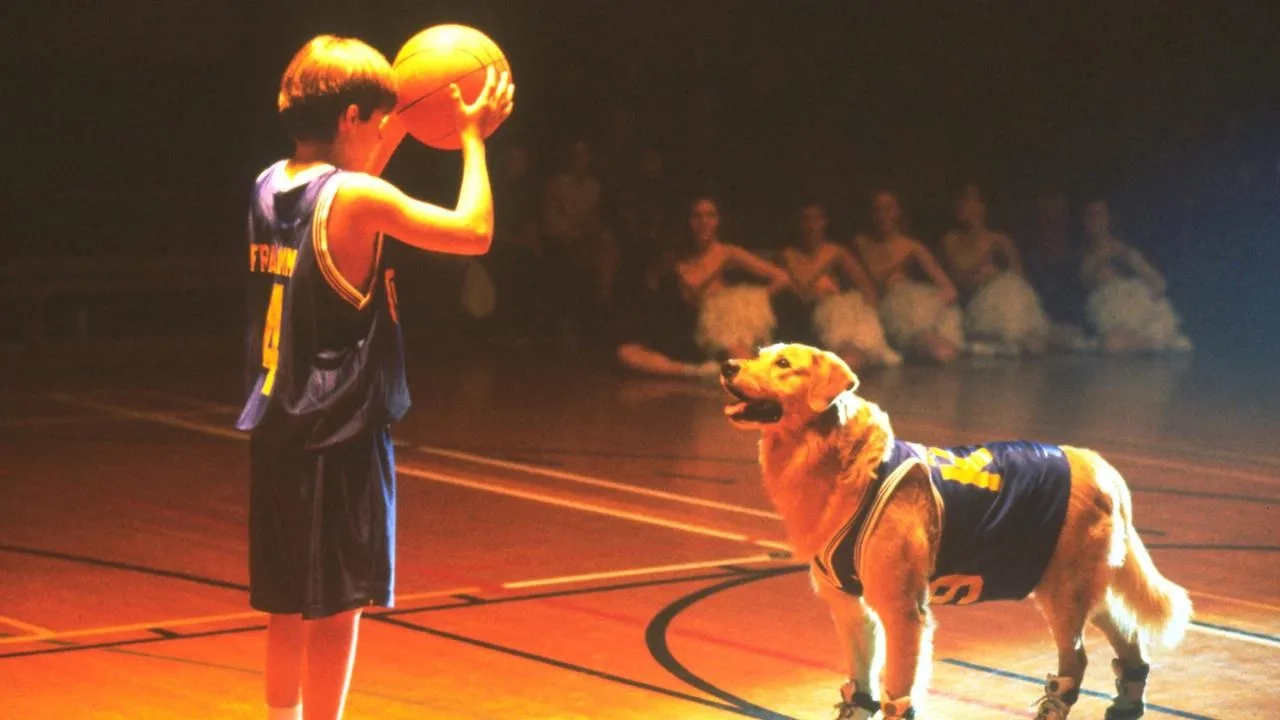 فیلم ایرباد (Air Bud 1997)