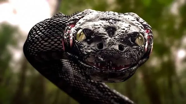 فیلم آناکوندا 3: فرزندان (Anaconda 3: Offspring 2008)