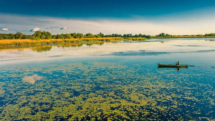 مستند سریالی رودخانه‌های بزرگ زمین 2 (Earth's Great Rivers II {2022})