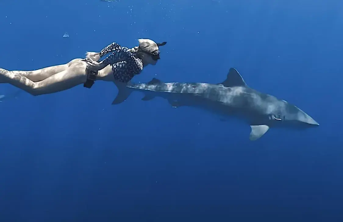 مستند زمزمه کوسه (Shark Whisperer 2025)
