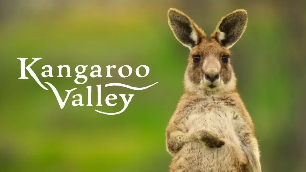 مستند دره کانگورو (Kangaroo Valley 2022)