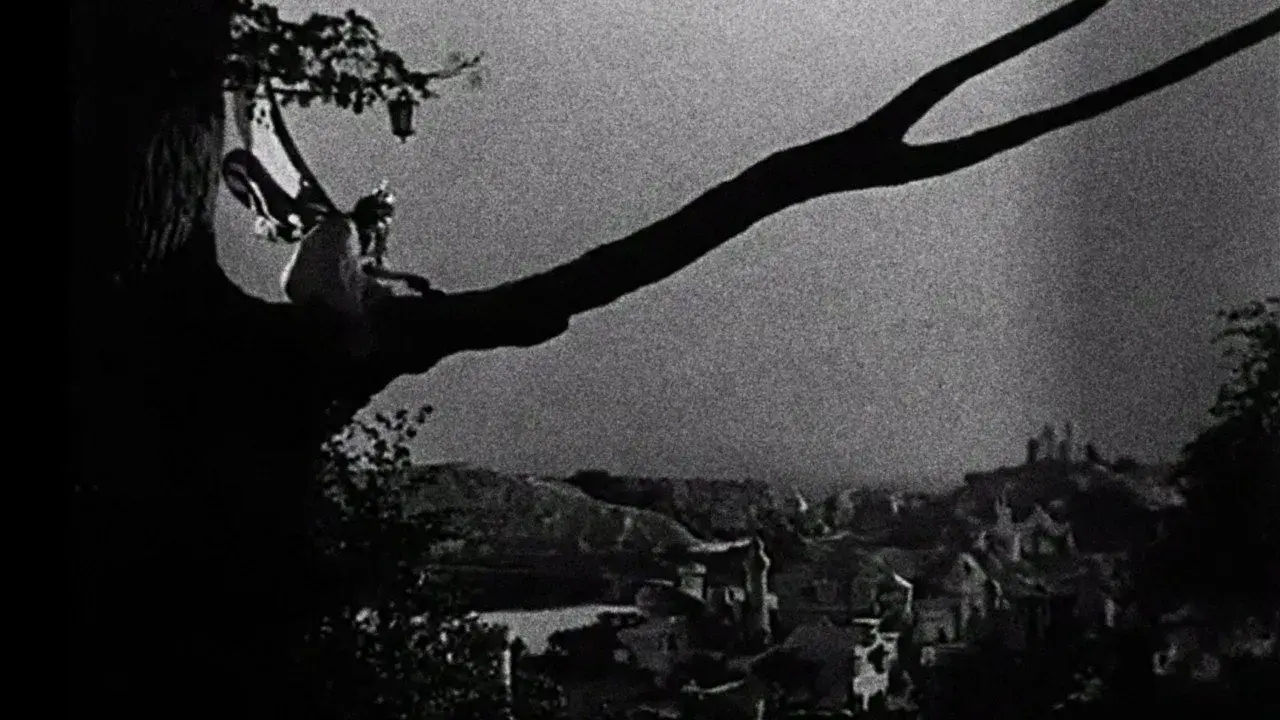 فیلم افسون (Enchantment 1921)