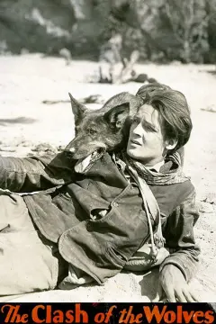 نبرد گرگ ها 1925
