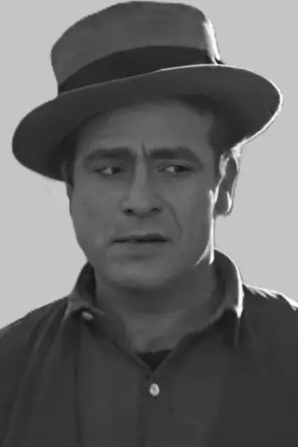 بود فاین