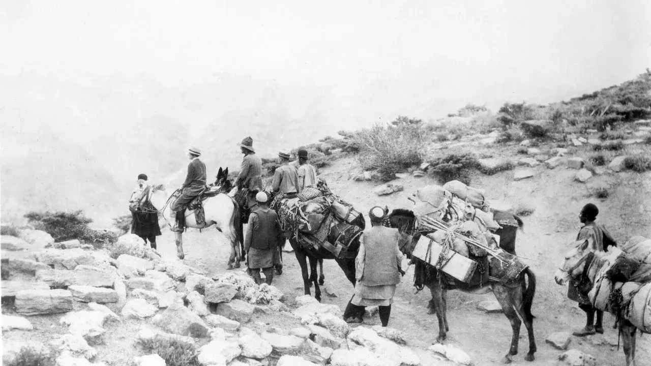 مستند علف: نبرد یک ملت برای زندگی (Grass: A Nation's Battle for Life 1925)