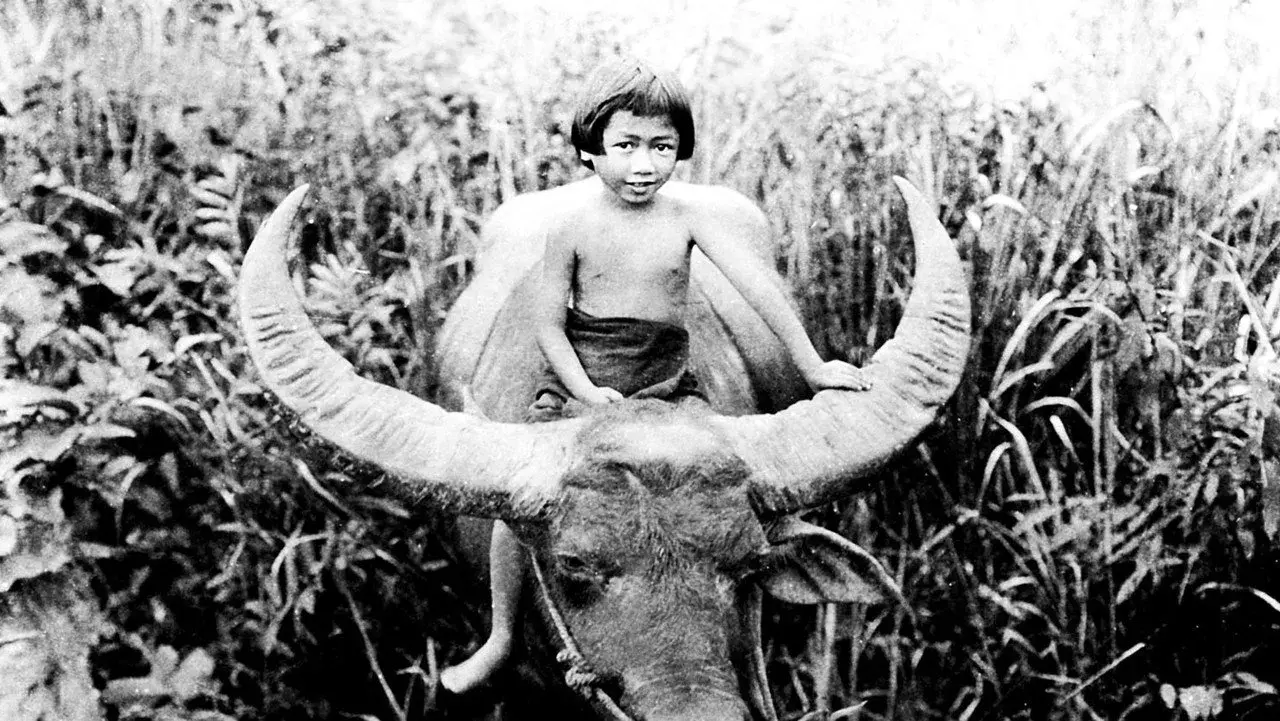 مستند چانگ: داستانی از حیات وحش (Chang: A Drama of the Wilderness 1927)