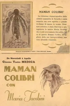 مادر مرغ مگس خوار 
