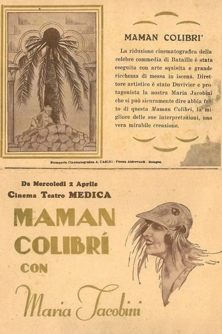  فیلم مادر مرغ مگس خوار  (Mother Hummingbird 1929)