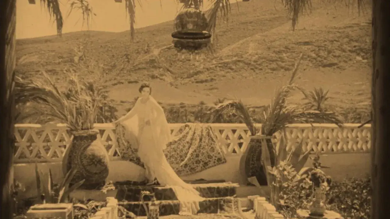  فیلم مادر مرغ مگس خوار  (Mother Hummingbird 1929)