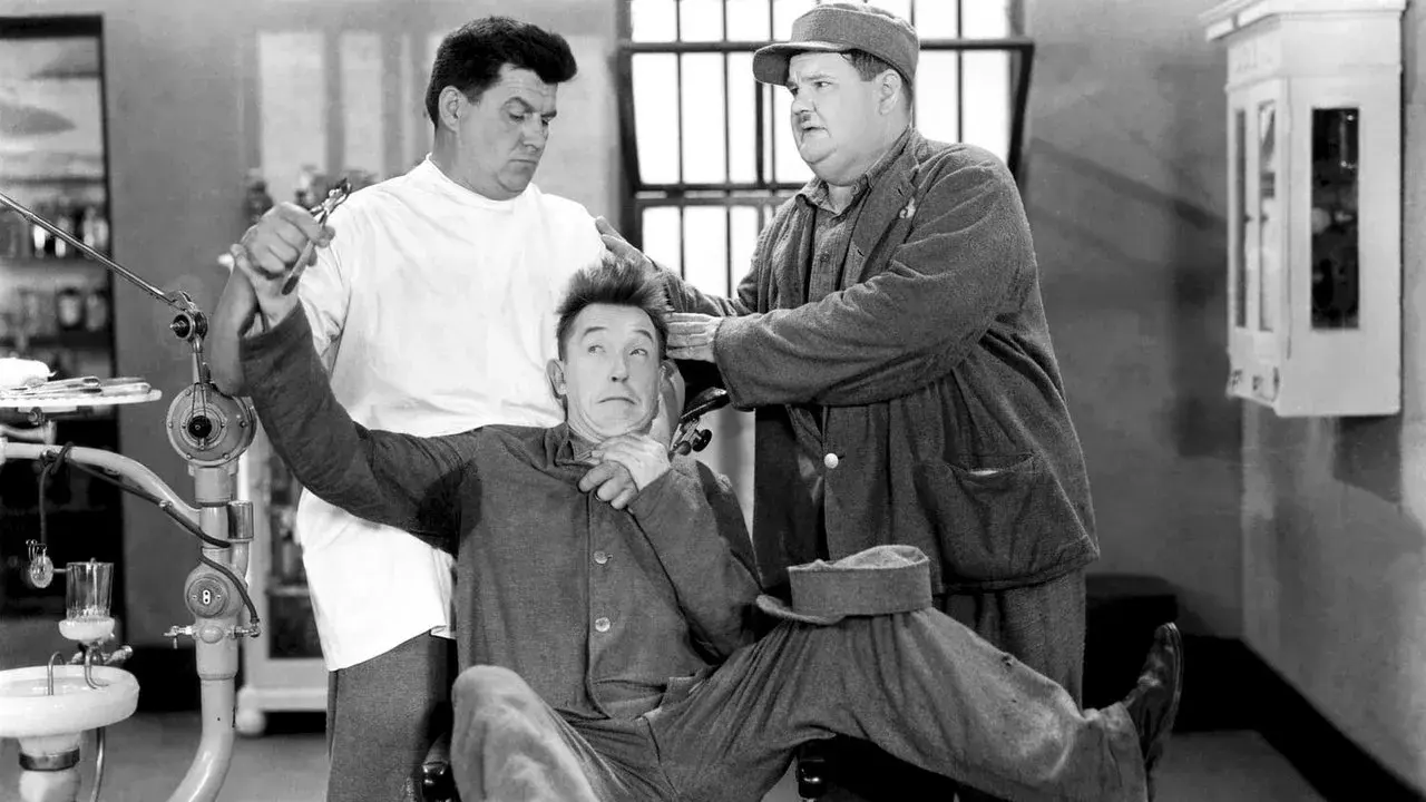 فیلم ما را ببخشید (Pardon Us 1931)