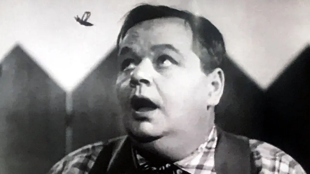 فیلم وزوز و دردسر (Buzzin' Around 1933)