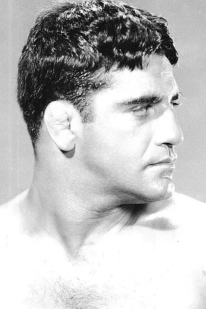 سامی استاین