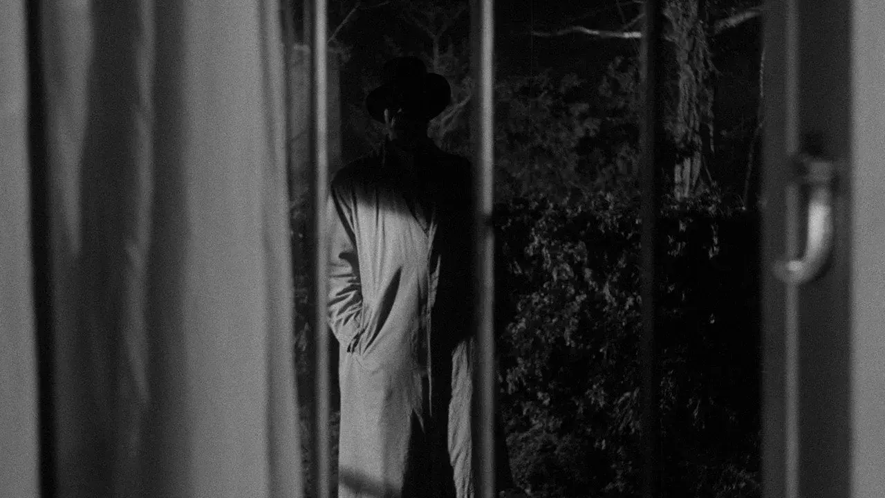 فیلم مرد مرموز (The Ringer 1952)