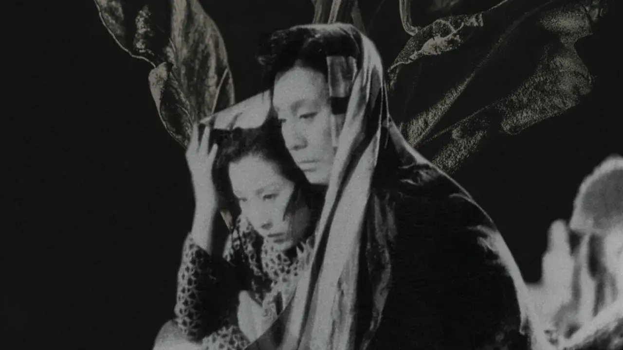 داستان آخرین گل داودی
