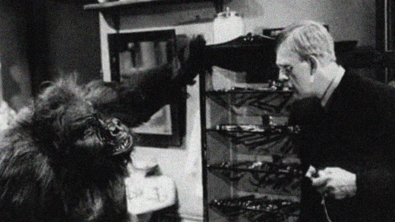 فیلم میمون (The Ape 1940)