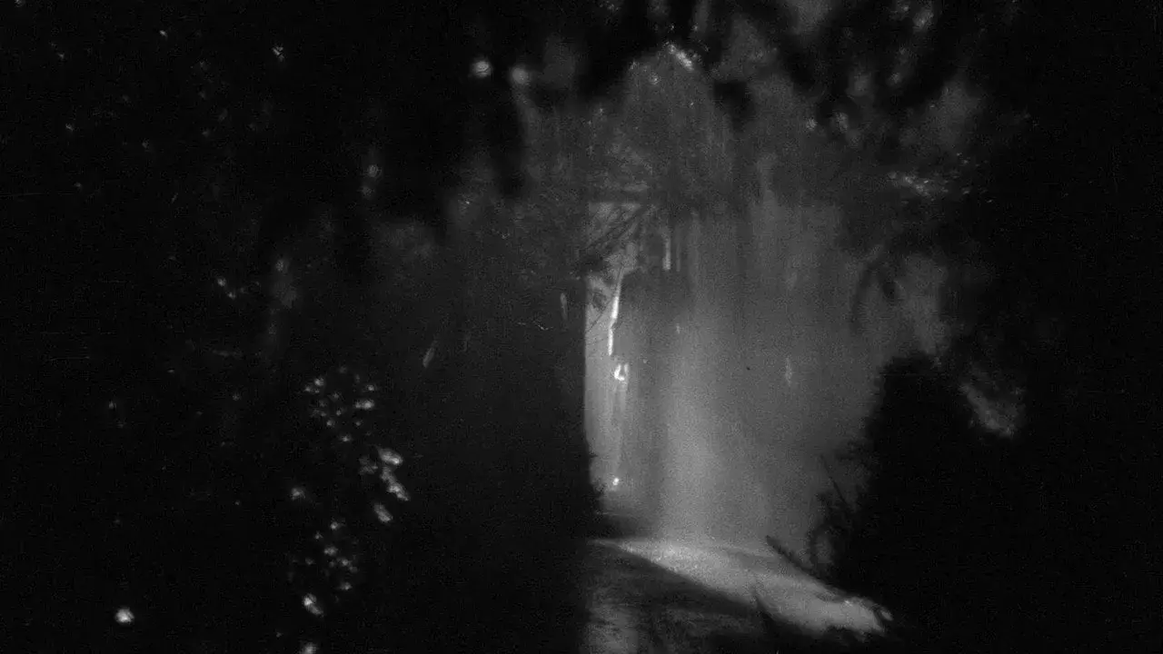 فیلم خانه وحشت (The Night Has Eyes 1942)