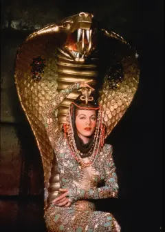 زن کبرا