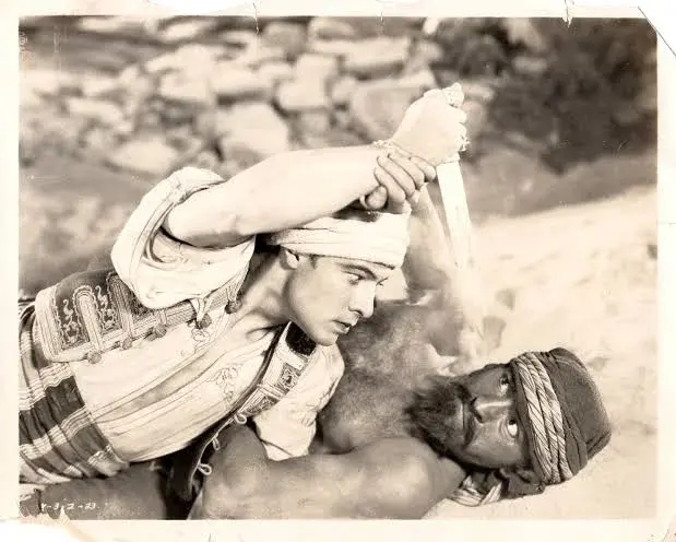 پسر شیخ
