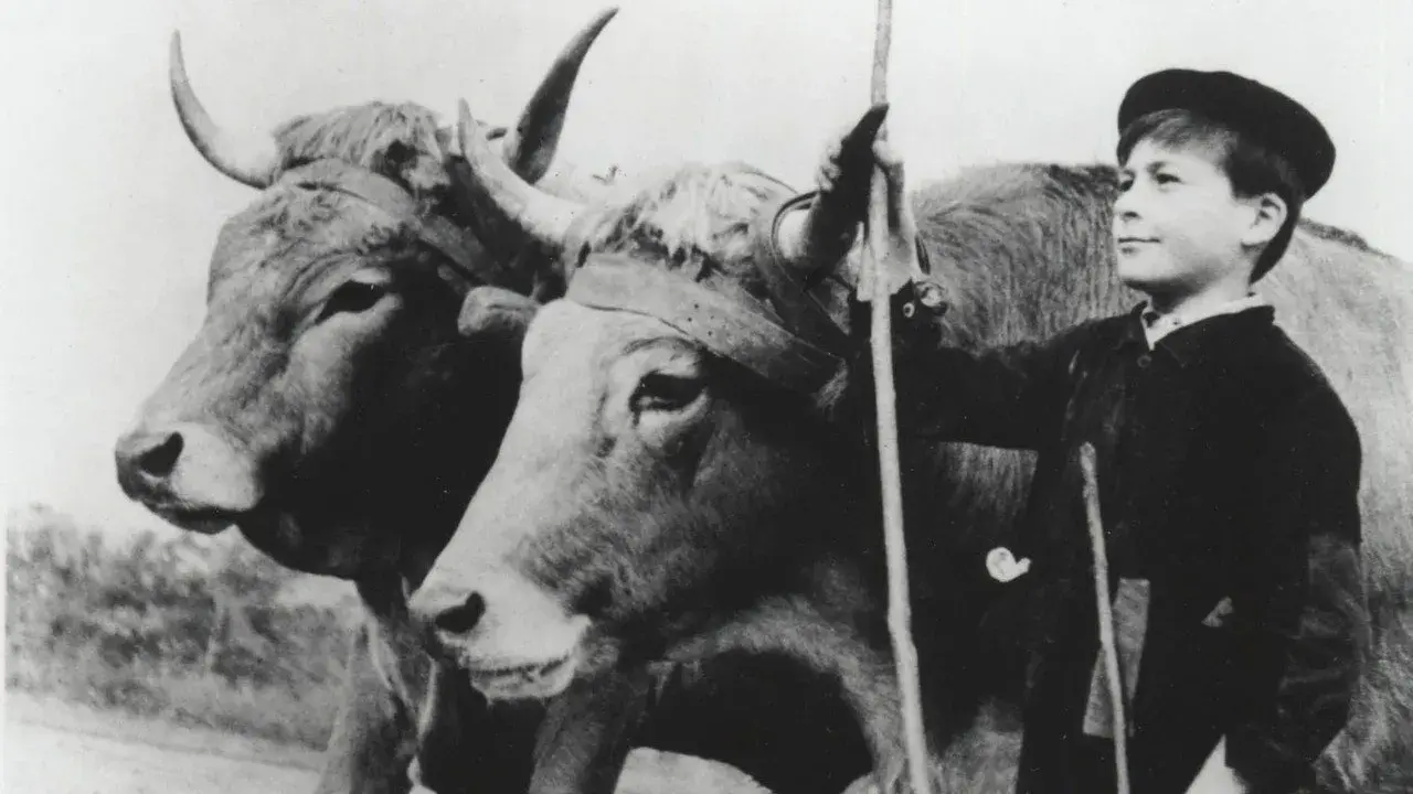 مستند فاربیک (Farrebique, or the Four Seasons 1946)