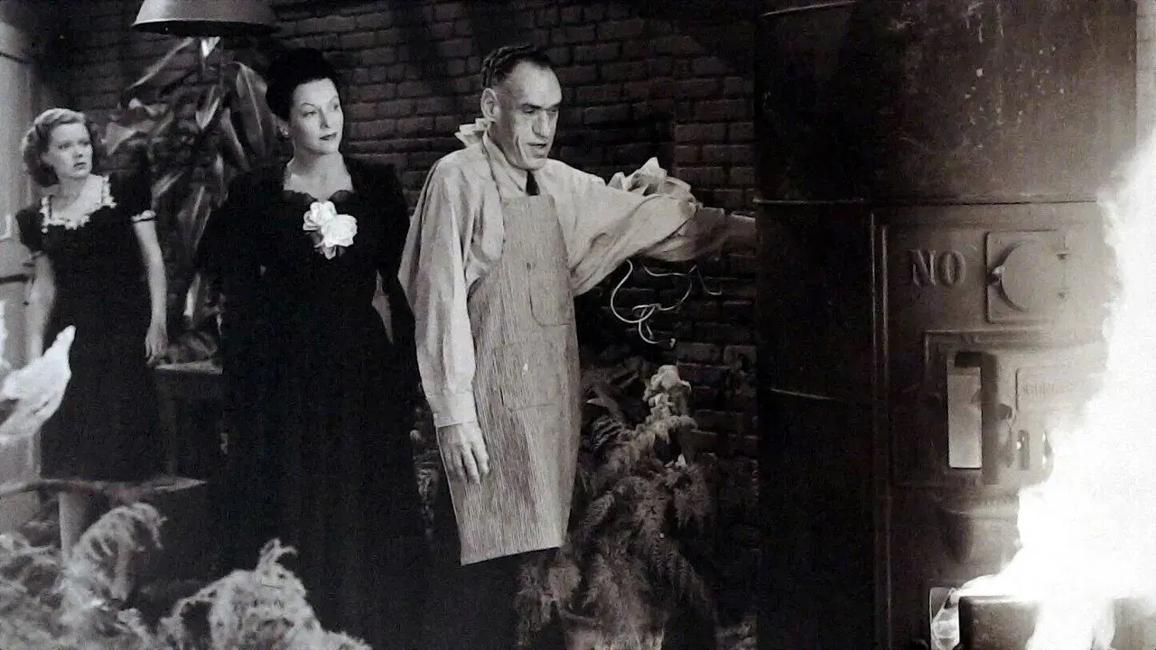 فیلم زن عنکبوتی بازمی‌گردد (The Spider Woman Strikes Back 1946)