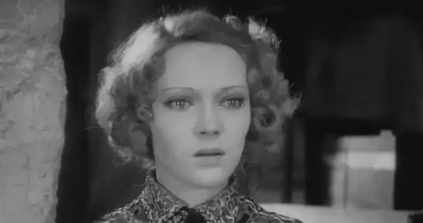 فیلم بهشت بانوان (Ladies' Paradise 1930)