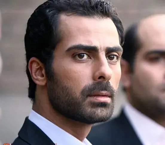 کامبیز کاشفی