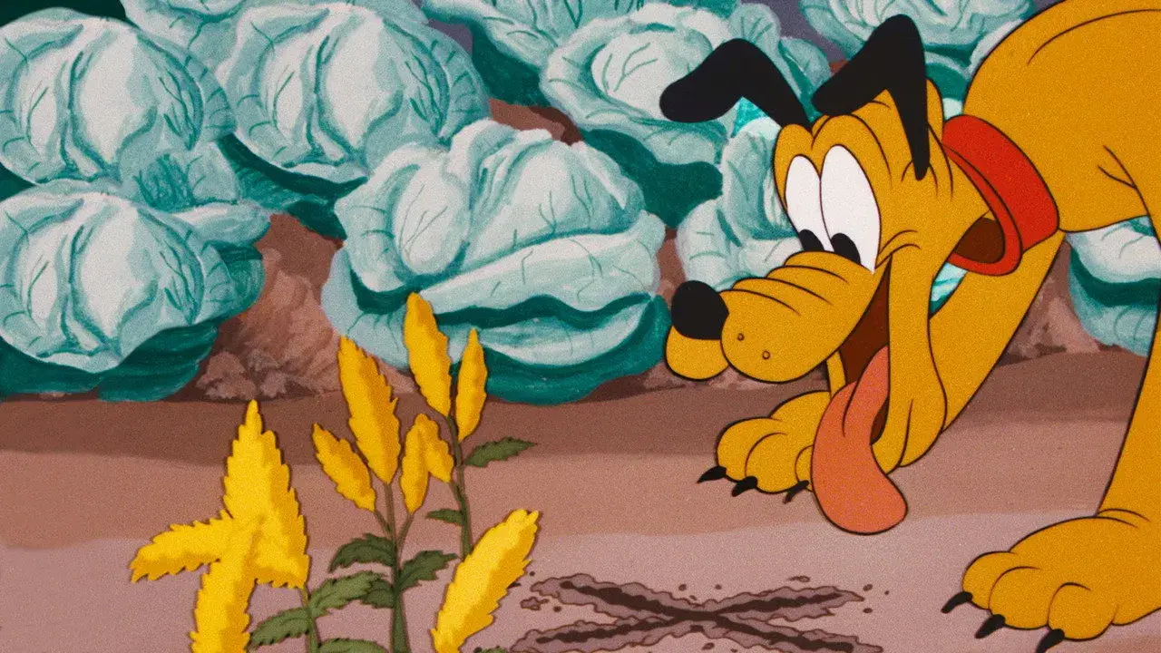 انیمیشن دزد استخوان (Bone Bandit 1948)