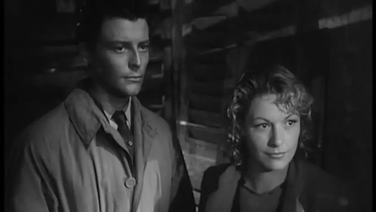 فیلم چه ساحل کوچک زیبایی (Such a Pretty Little Beach 1949)
