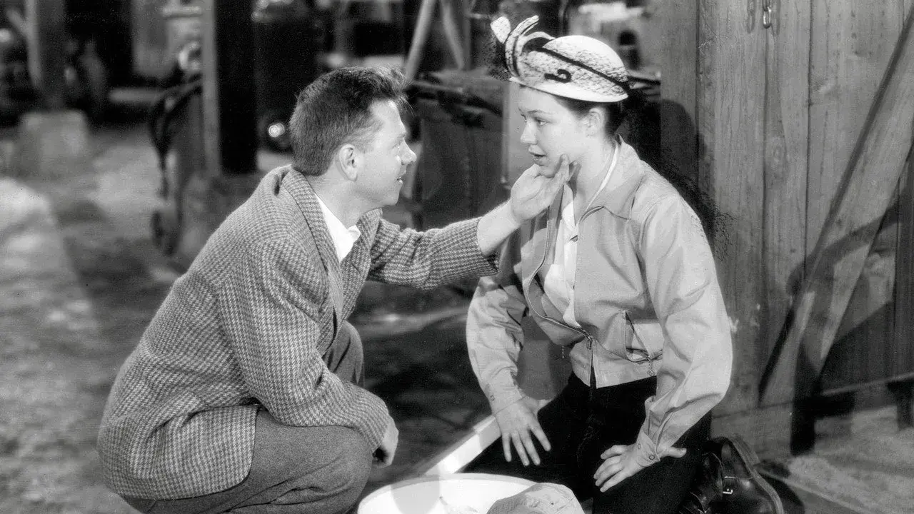 فیلم چرخ بزرگ (The Big Wheel 1949)
