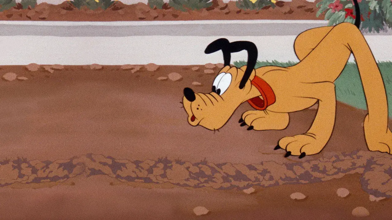انیمیشن پلوتو و موش خرما (Pluto and the Gopher 1950)