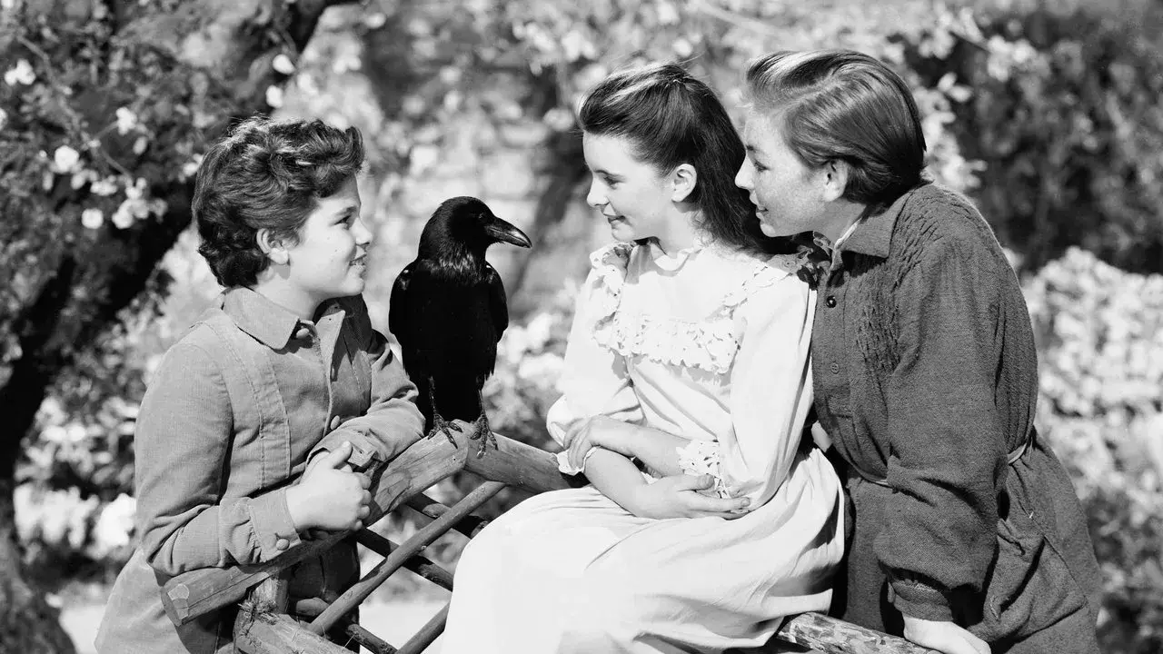 فیلم باغ اسرارآمیز (The Secret Garden 1949)