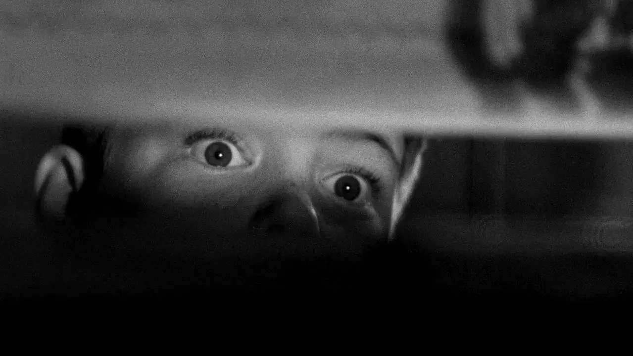 فیلم پنجره  (The Window 1949)