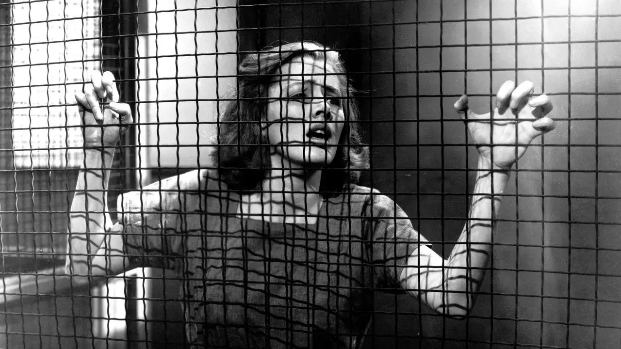 فیلم در زنجیر (Caged 1950)