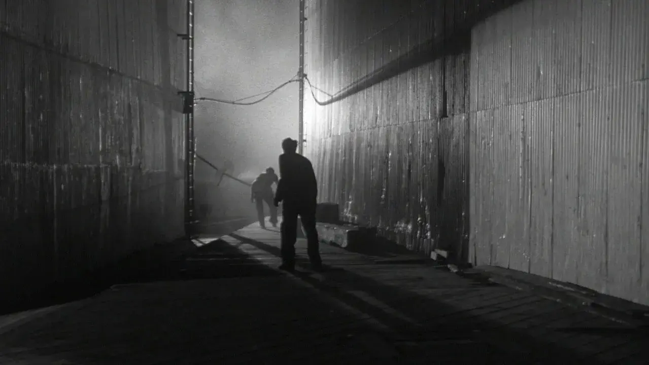 فیلم وحشت در خیابان‌ها (Panic in the Streets 1950)