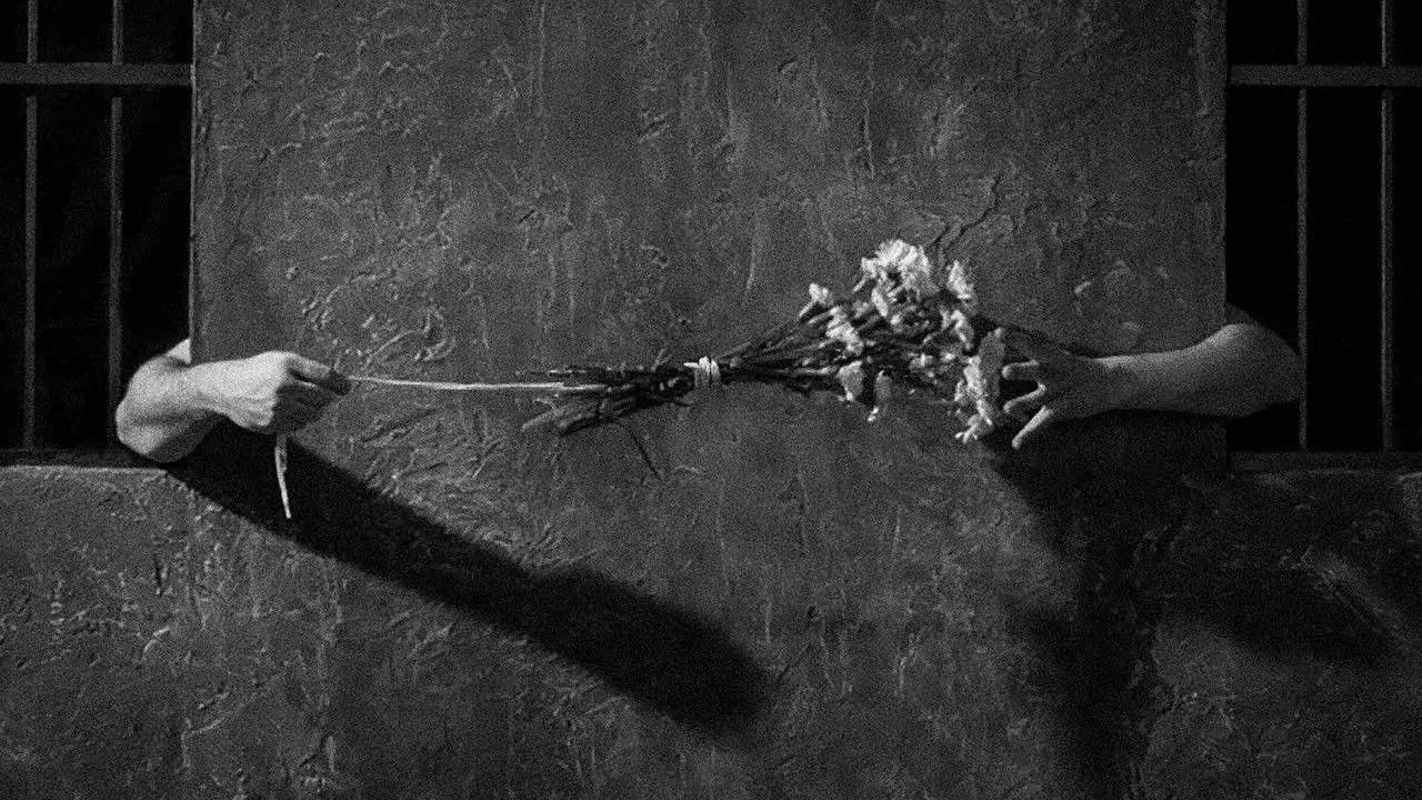 فیلم ترانه عشق (Song of Love 1950)