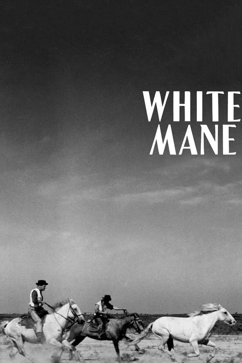 فیلم یال سفید (White Mane 1953)