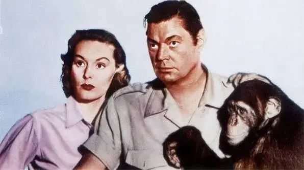 فیلم ببر وودو (Voodoo Tiger 1952)