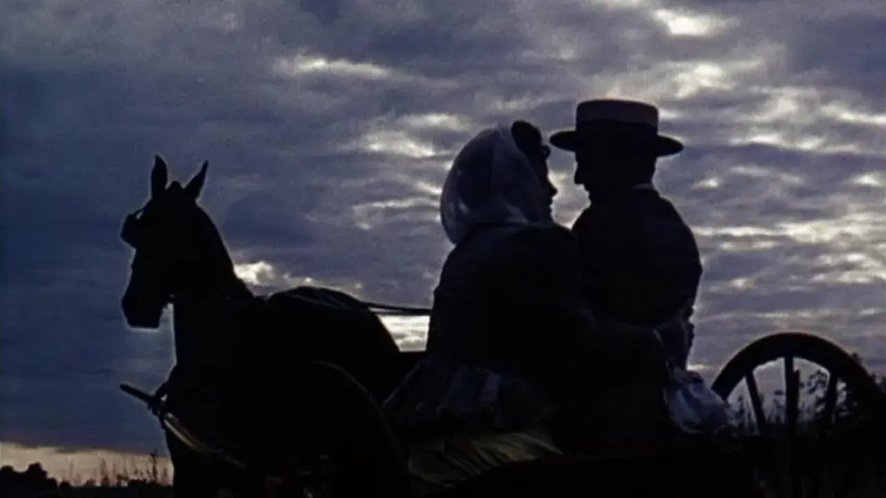 فیلم صبر کن تا خورشید بتابد، نلی (Wait Till the Sun Shines, Nellie 1952)