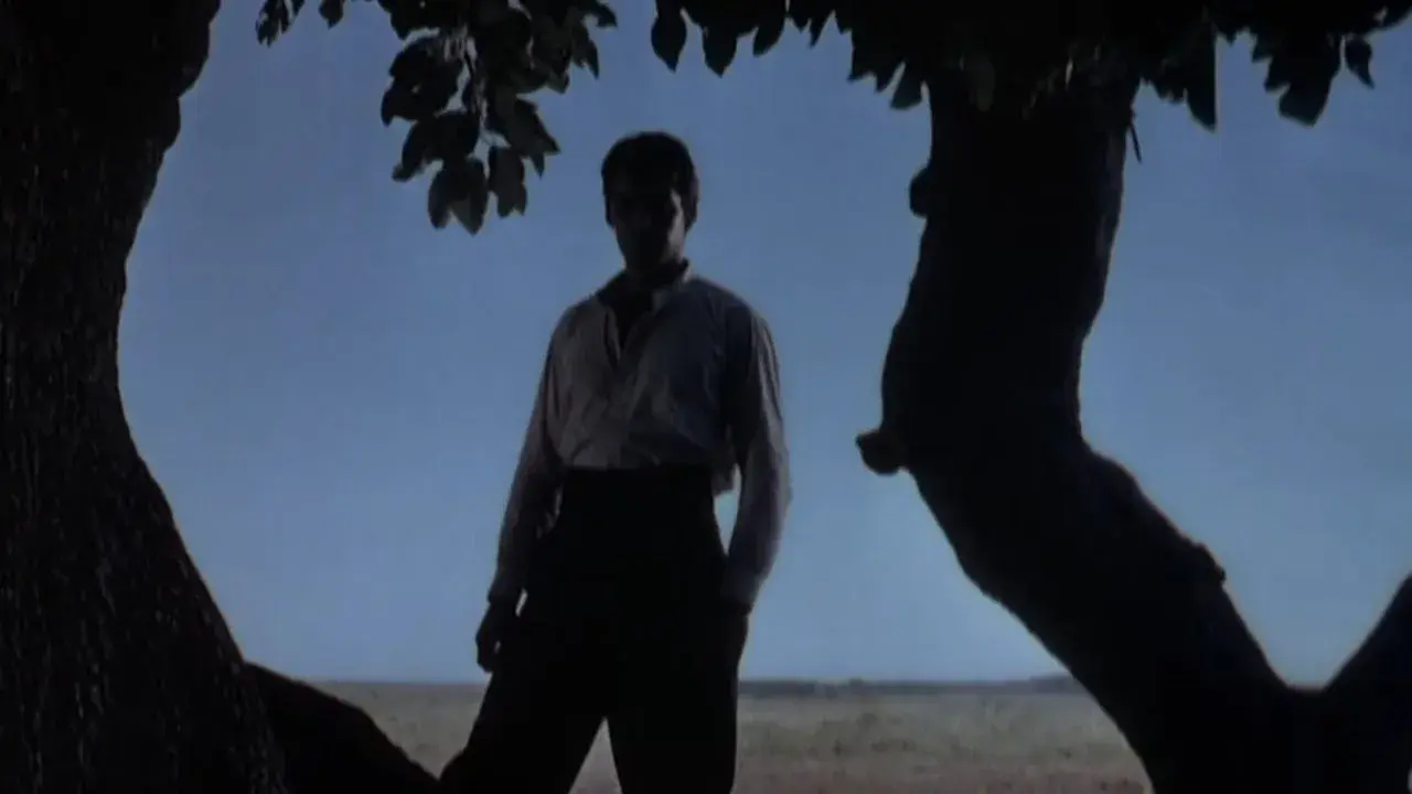 فیلم راه و رسم یک گاچو (Way of a Gaucho 1952)