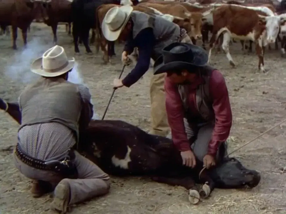 فیلم سرخ‌موی اهل وایومینگ (The Redhead from Wyoming 1953)