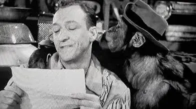 فیلم جنتلمن‌های جنگل (Jungle Gents 1954)