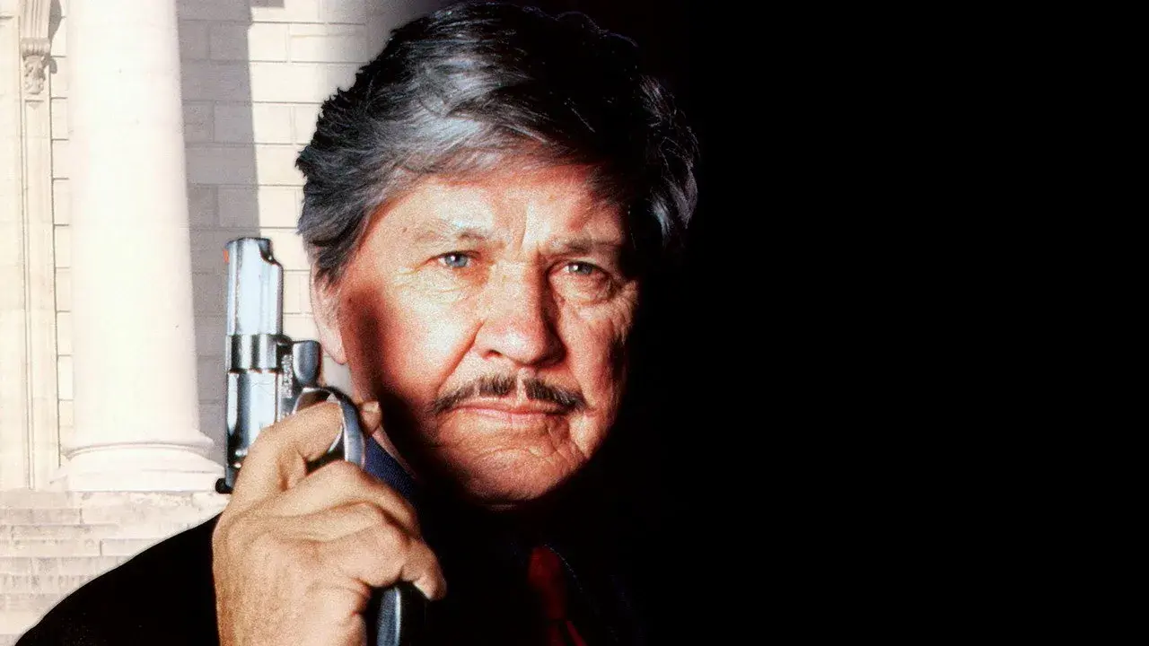 فیلم آرزوی مرگ 5: چهره مرگ (Death Wish V: The Face of Death 1994)