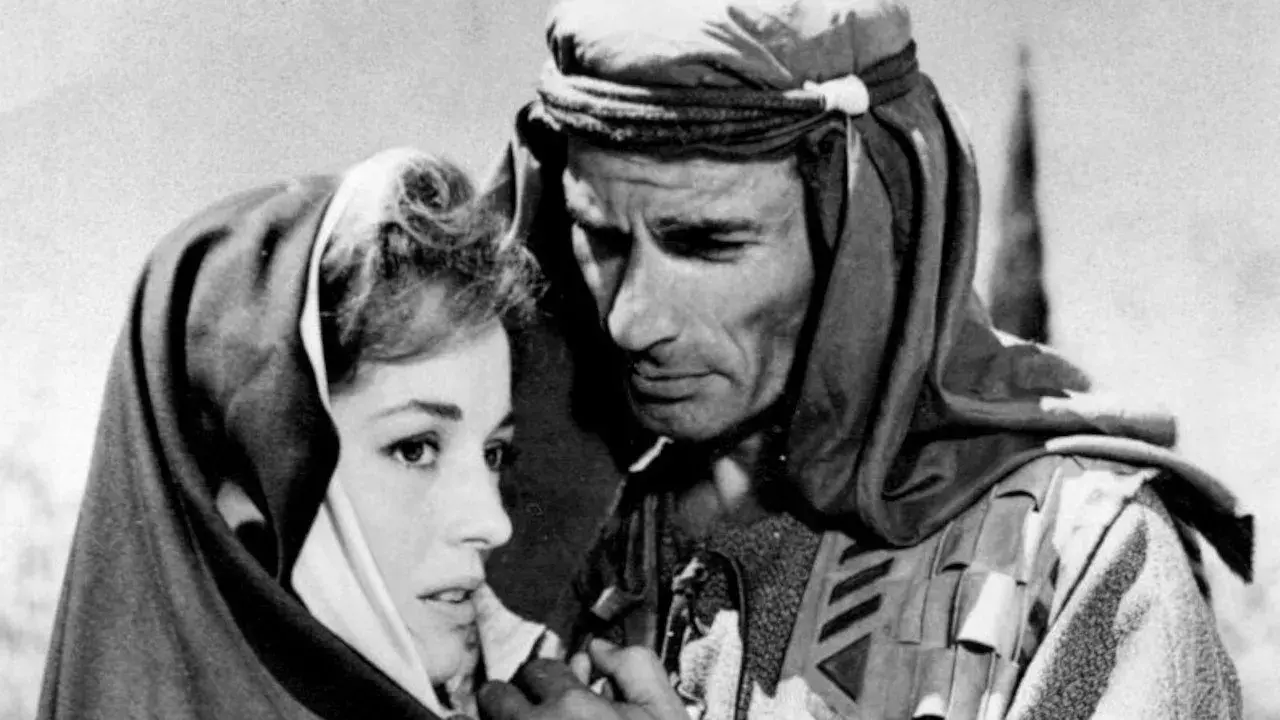 داستان داوود: تحت تعقیب