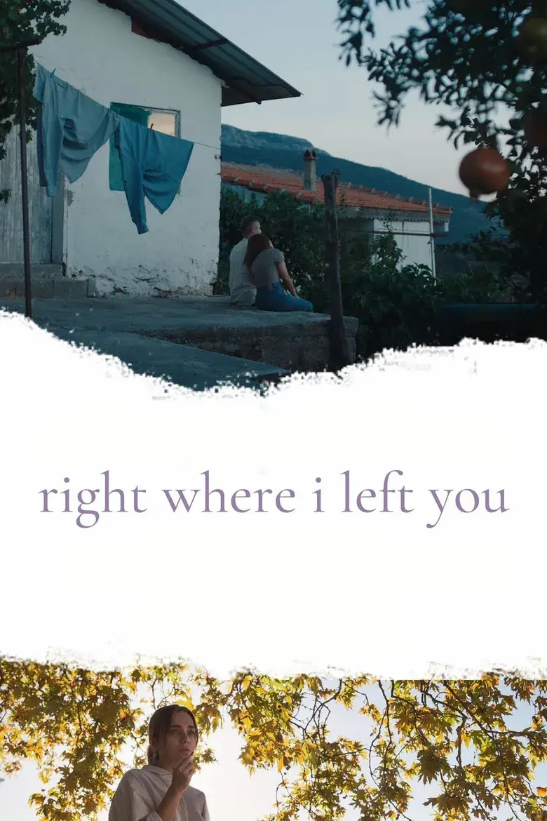 فیلم ترکی همان‌جایی که ترکت کردم (Right Where I Left You 2024)