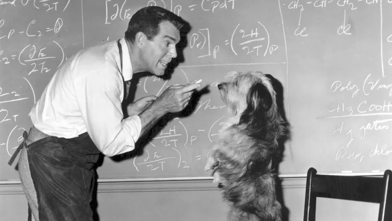 فیلم پروفسور کم حافظه (The Absent-Minded Professor 1961)