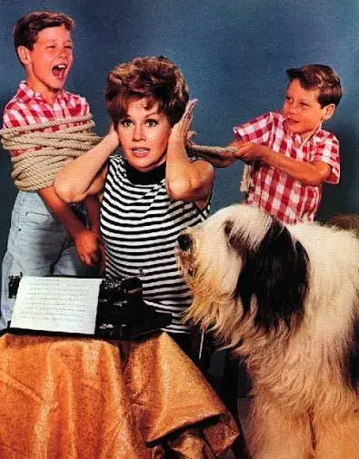 لطفا دیزی ها را نخورید (Please Don't Eat the Daisies 1960)