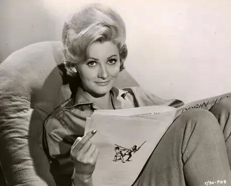 فیلم هم اتاقی ها (Raising the Wind 1961)