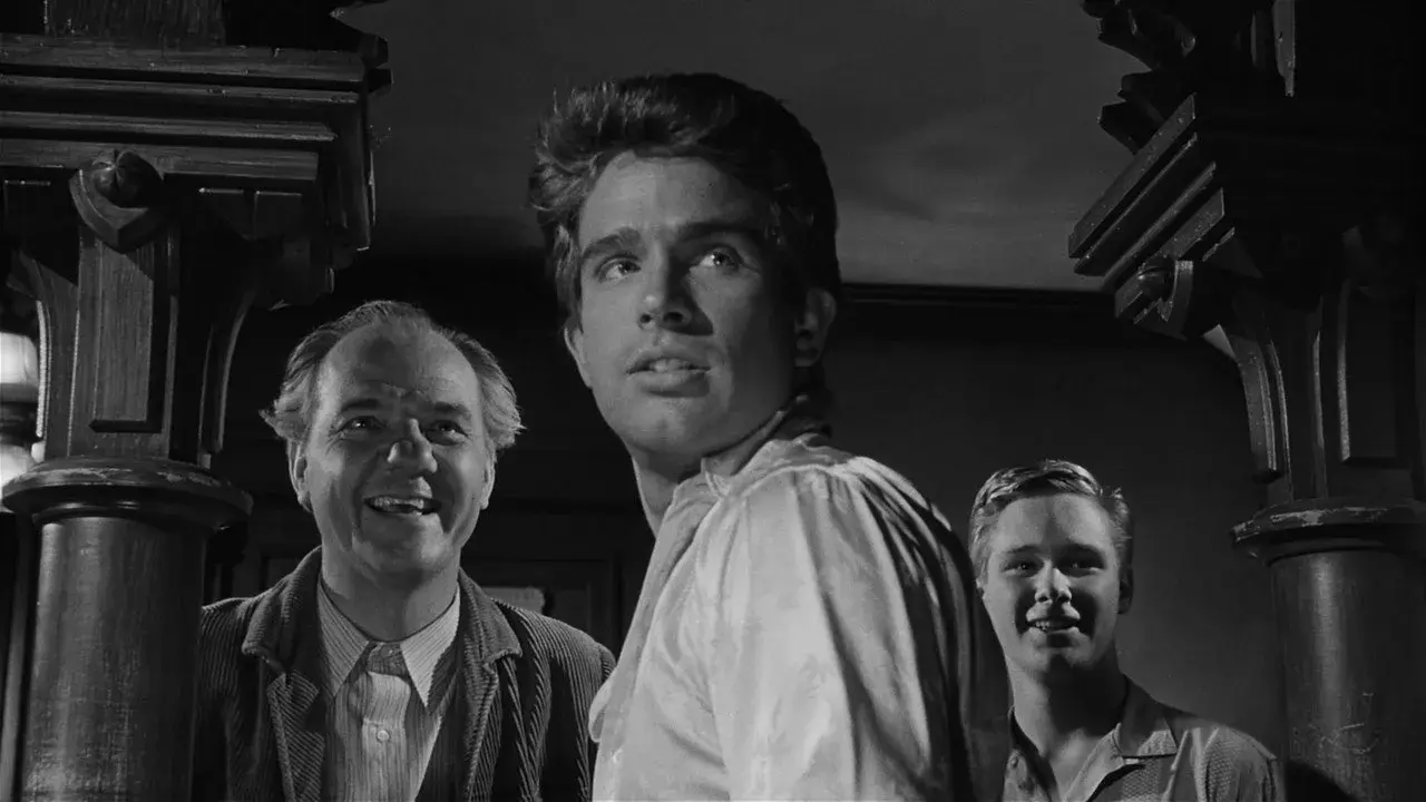 فیلم همه سقوط می‌ کنند (All Fall Down 1962)