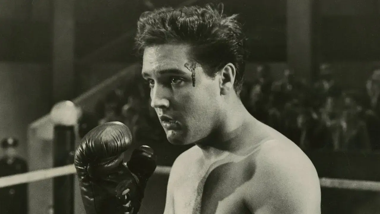 فیلم کید گالا هاد (Kid Galahad 1962)